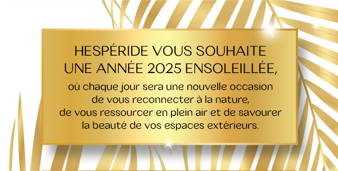 Bonne année 2025