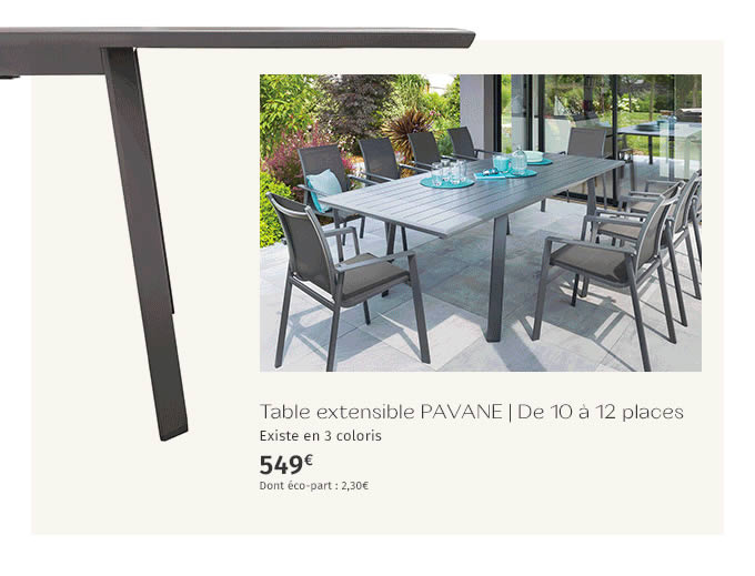 Table extensible PAVANE De 10 à 12 places - 549€