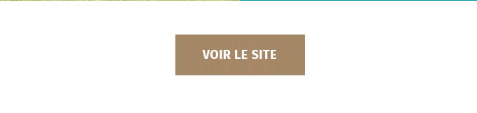 VOIR LE SITE