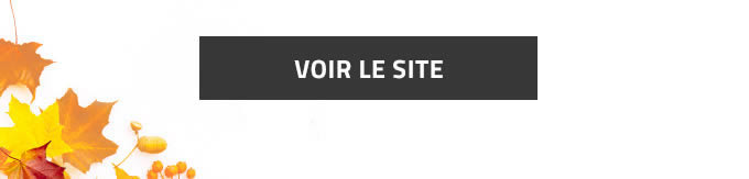 VOIR LE SITE