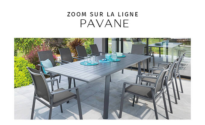 ZOOM SUR LA LIGNE PAVANE