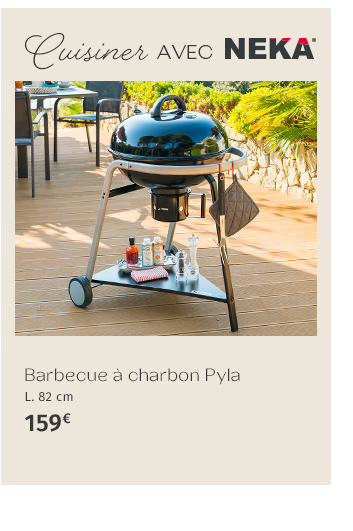 Barbecue à charbon Pyla