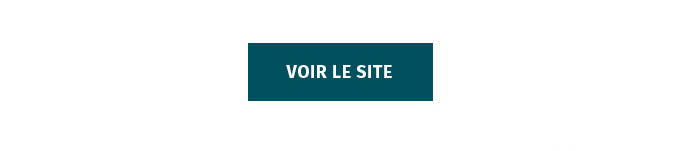 VOIR LE SITE